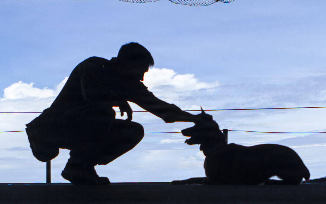 Defense Health Agency team wins program management award for securing FDA clearance of canine plasma
