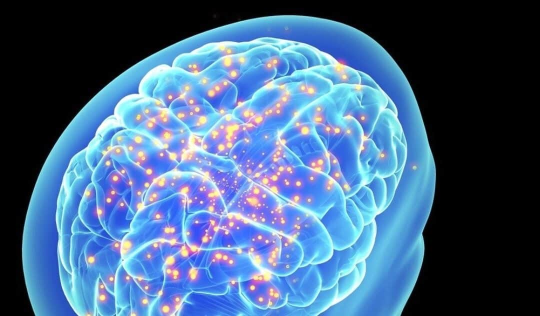 Tip of the Spear, Edge of the Mind: Neurotechnology’s Roles in the Future of Special Operations