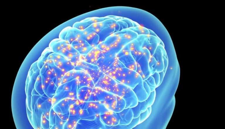 Special Operations Command Pacific undergoing first AI boot camp this week